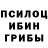 Галлюциногенные грибы мухоморы zirinavas