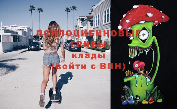 СК Алексеевка